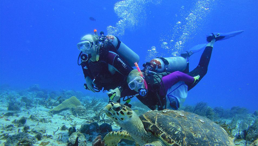 Cozumel, el mejor destino de buceo en el Caribe | Noticias de la Industria  Turistica