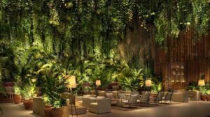 The Riviera Maya EDITION