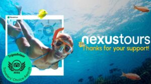 Nexustours Tripadvisor