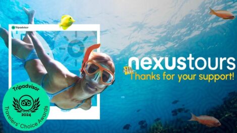 Nexustours Tripadvisor