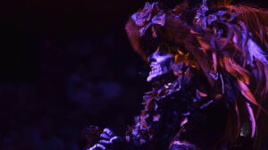 Xcaret calaveritas estados