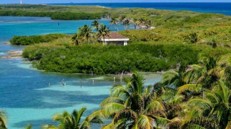 ANP Parque Nacional Isla Contoy
