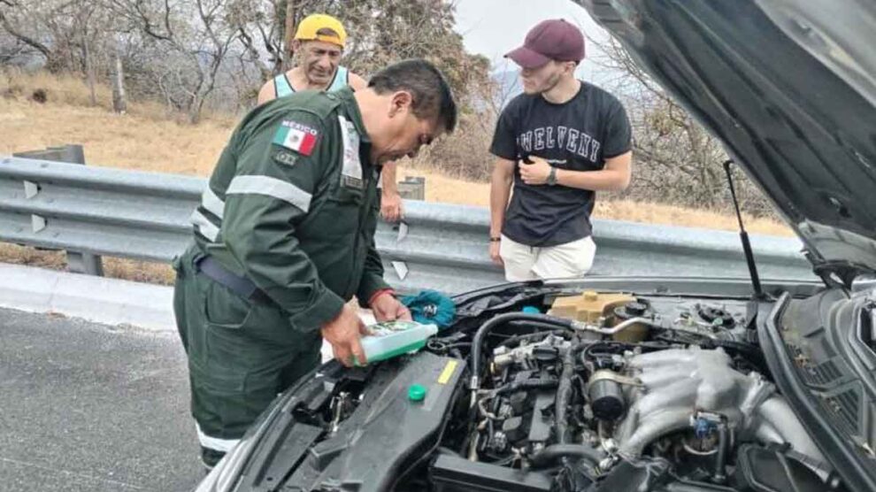 Ángeles Verdes primer bimestre