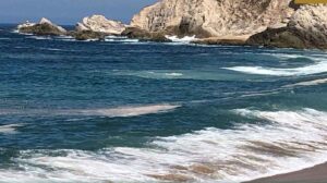 Cofepris Semana Santa 2025