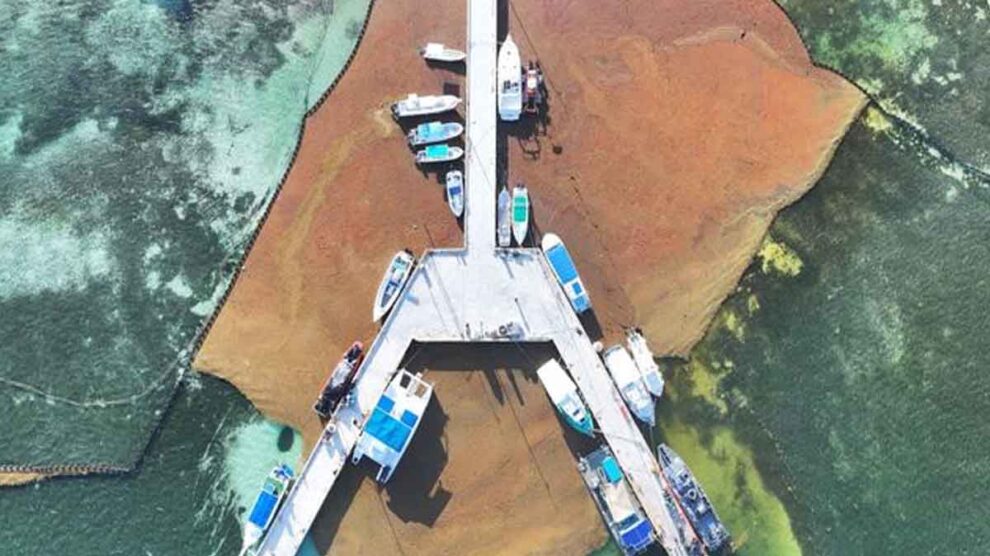 Quintana Roo sargazo 2025