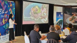 Ixtapa Zihuatanejo caravana CDMX