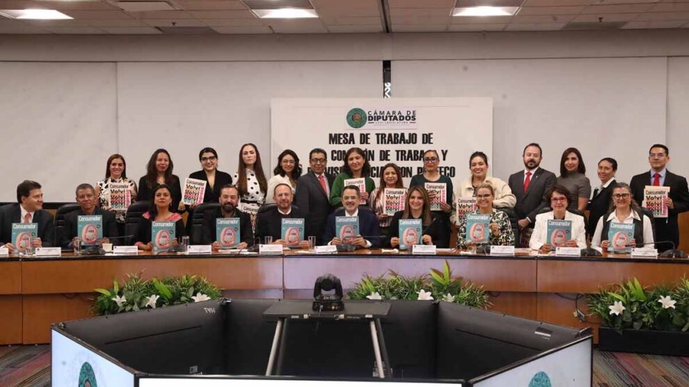 Profeco comparecencia Cámara de Diputados