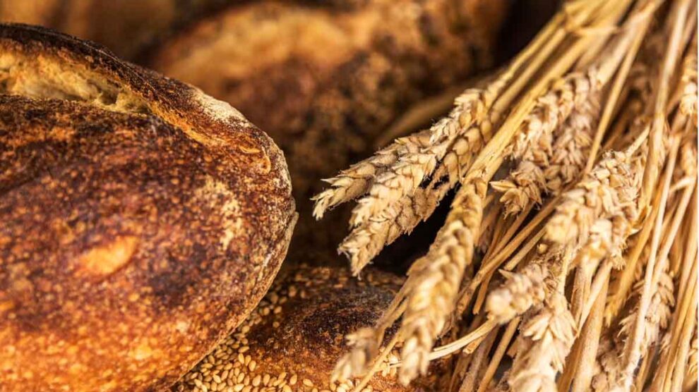 Guía Michelin Barrio Bread, Tucson ©pedro_berruecos