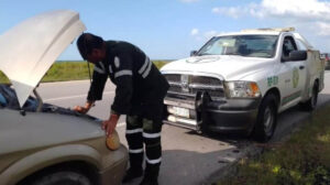 Ángeles Verdes primer trimestre