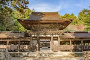 Japón viajeros mexicanos