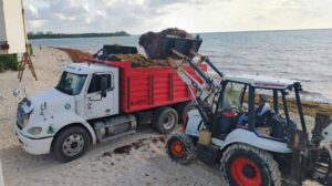 Playa del Carmen recale atípico de sargazo