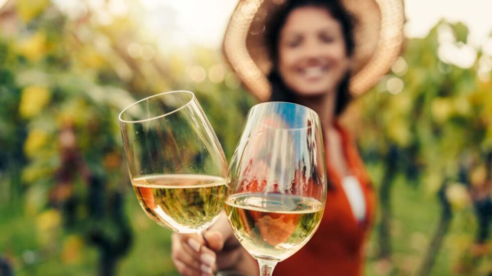 CIVITATIS DÍA DEL AMOR Y LA AMISTAD VINOS Y QUESOS