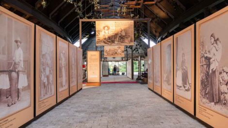 Hotel Xcaret Arte exposición