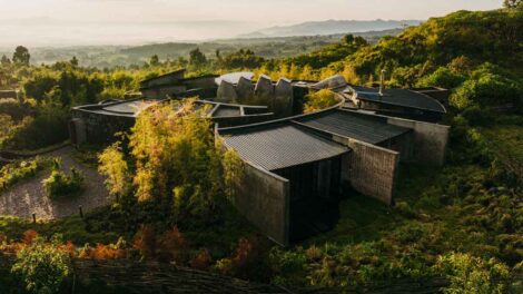 Ruanda Bisate Sanctuary