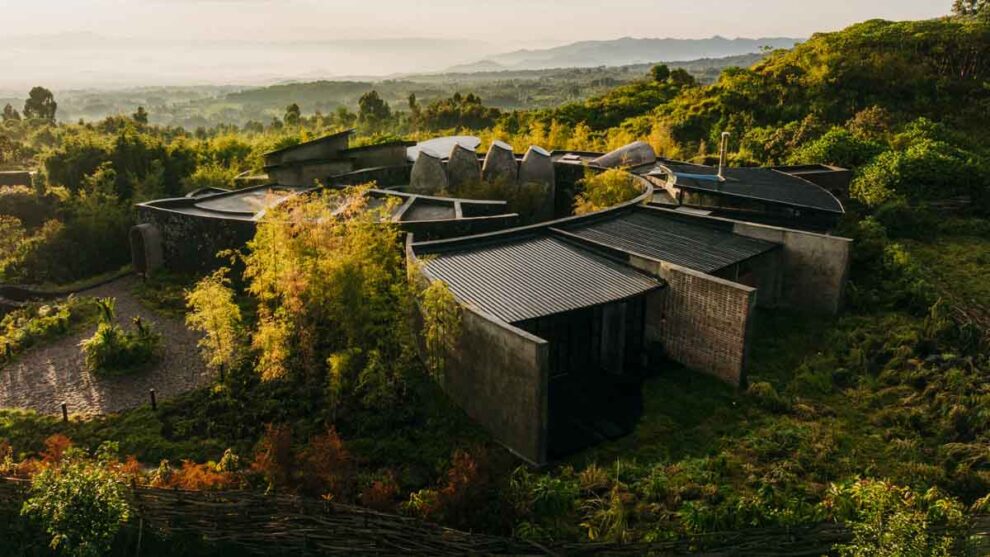 Ruanda Bisate Sanctuary